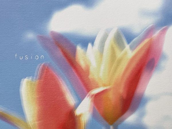 ギャラリーリブ・アート　堀江ゆうこ写真展「Fision」　南室